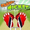 Cricket WIcket